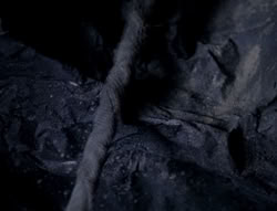 extant_XenaWarriorPrincess_5x03_Succession_3261