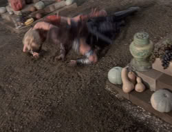 extant_XenaWarriorPrincess_5x03_Succession_3362