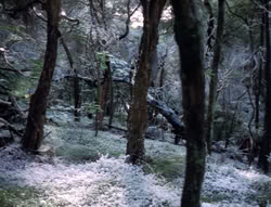 extant_XenaWarriorPrincess_5x04-AnimalAttraction_0002