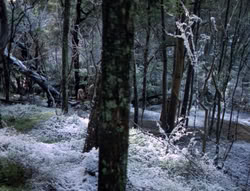 extant_XenaWarriorPrincess_5x04-AnimalAttraction_0006
