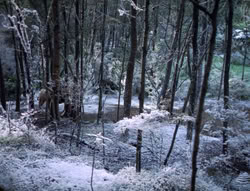 extant_XenaWarriorPrincess_5x04-AnimalAttraction_0013