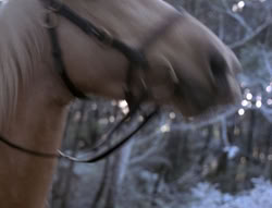 extant_XenaWarriorPrincess_5x04-AnimalAttraction_0138