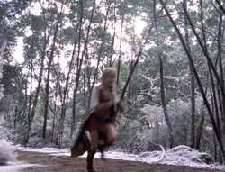 extant_XenaWarriorPrincess_5x04-AnimalAttraction_0211