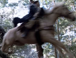 extant_XenaWarriorPrincess_5x04-AnimalAttraction_0230