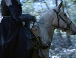 extant_XenaWarriorPrincess_5x04-AnimalAttraction_0232