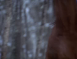 extant_XenaWarriorPrincess_5x04-AnimalAttraction_0239