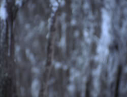extant_XenaWarriorPrincess_5x04-AnimalAttraction_0240