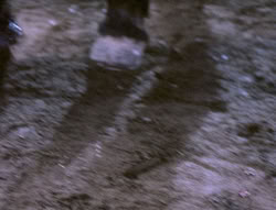 extant_XenaWarriorPrincess_5x04-AnimalAttraction_0242