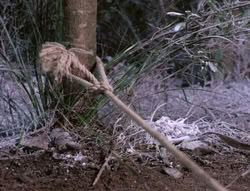 extant_XenaWarriorPrincess_5x04-AnimalAttraction_0244