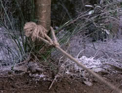 extant_XenaWarriorPrincess_5x04-AnimalAttraction_0245