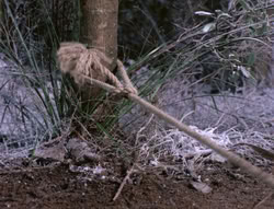 extant_XenaWarriorPrincess_5x04-AnimalAttraction_0246