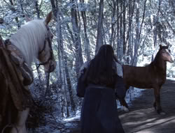 extant_XenaWarriorPrincess_5x04-AnimalAttraction_0253