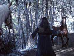 extant_XenaWarriorPrincess_5x04-AnimalAttraction_0254