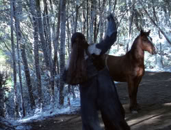 extant_XenaWarriorPrincess_5x04-AnimalAttraction_0262