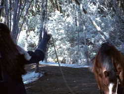extant_XenaWarriorPrincess_5x04-AnimalAttraction_0274