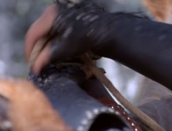 extant_XenaWarriorPrincess_5x04-AnimalAttraction_0286