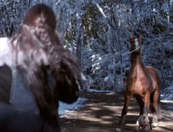 extant_XenaWarriorPrincess_5x04-AnimalAttraction_0288