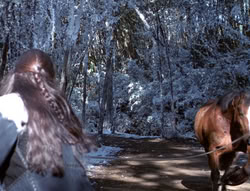 extant_XenaWarriorPrincess_5x04-AnimalAttraction_0289