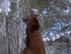 extant_XenaWarriorPrincess_5x04-AnimalAttraction_0296