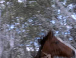 extant_XenaWarriorPrincess_5x04-AnimalAttraction_0297