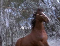 extant_XenaWarriorPrincess_5x04-AnimalAttraction_0309
