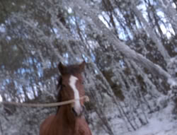 extant_XenaWarriorPrincess_5x04-AnimalAttraction_0311