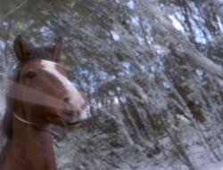 extant_XenaWarriorPrincess_5x04-AnimalAttraction_0317