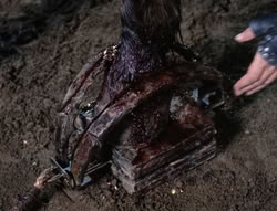 extant_XenaWarriorPrincess_5x04-AnimalAttraction_0407