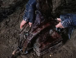 extant_XenaWarriorPrincess_5x04-AnimalAttraction_0408
