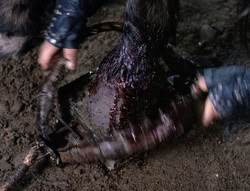extant_XenaWarriorPrincess_5x04-AnimalAttraction_0416