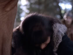 extant_XenaWarriorPrincess_5x04-AnimalAttraction_0417