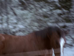 extant_XenaWarriorPrincess_5x04-AnimalAttraction_0421