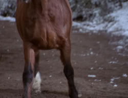 extant_XenaWarriorPrincess_5x04-AnimalAttraction_0429
