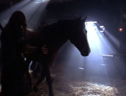 extant_XenaWarriorPrincess_5x04-AnimalAttraction_0509