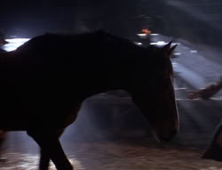 extant_XenaWarriorPrincess_5x04-AnimalAttraction_0510