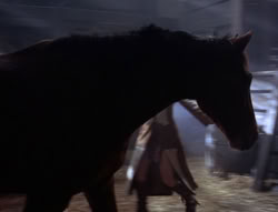 extant_XenaWarriorPrincess_5x04-AnimalAttraction_0511