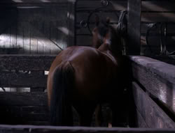 extant_XenaWarriorPrincess_5x04-AnimalAttraction_0523
