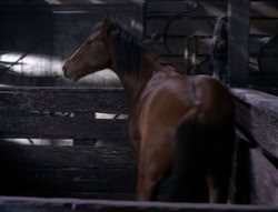 extant_XenaWarriorPrincess_5x04-AnimalAttraction_0524
