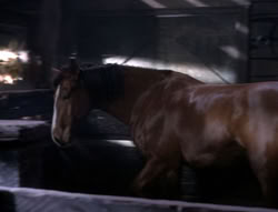 extant_XenaWarriorPrincess_5x04-AnimalAttraction_0525