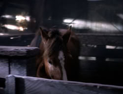 extant_XenaWarriorPrincess_5x04-AnimalAttraction_0527
