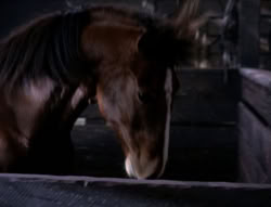 extant_XenaWarriorPrincess_5x04-AnimalAttraction_0528