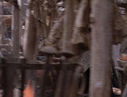 extant_XenaWarriorPrincess_5x04-AnimalAttraction_1347