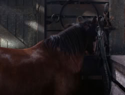 extant_XenaWarriorPrincess_5x04-AnimalAttraction_1370