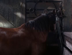 extant_XenaWarriorPrincess_5x04-AnimalAttraction_1371