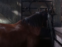 extant_XenaWarriorPrincess_5x04-AnimalAttraction_1380