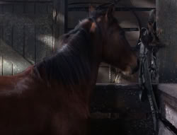 extant_XenaWarriorPrincess_5x04-AnimalAttraction_1391