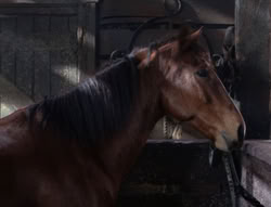 extant_XenaWarriorPrincess_5x04-AnimalAttraction_1392