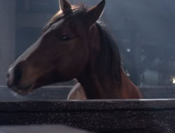 extant_XenaWarriorPrincess_5x04-AnimalAttraction_1397