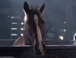 extant_XenaWarriorPrincess_5x04-AnimalAttraction_1398