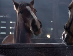 extant_XenaWarriorPrincess_5x04-AnimalAttraction_1399